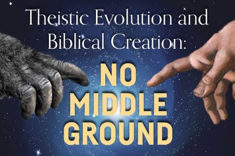 Theistic Evolution and Biblical Creation: No Middle Ground