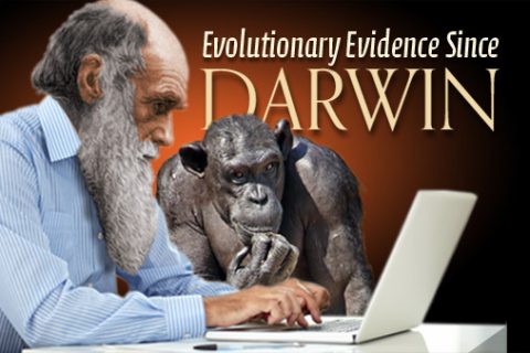 Evolutionary Evidence Since Darwin