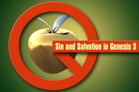 Sin and Salvation in Genesis 3