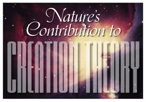 Nature's Contribution to Creation Theory